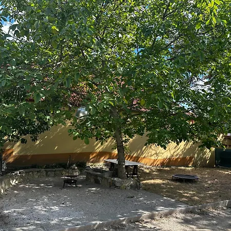 A Kishaz Oroszlany
